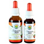 Salvia Paradise Schizandra čínská klanopraška tinktura 30 ml – Hledejceny.cz
