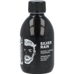 Dear Beard Silver Rain Anti-Yellow Shampoo 250 ml – Zbozi.Blesk.cz