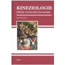 Kineziologie, Základy strukturální kinezologie