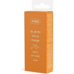 Ziaja Lesk na rty Sunny Mango Lip Care 12 ml – Zboží Dáma