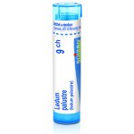 LEDUM PALUSTRE POR 9CH GRA 1X4G – Hledejceny.cz