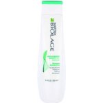 Matrix Biolage ScalpSync Anti Dandruff Shampoo 250 ml – Zbozi.Blesk.cz