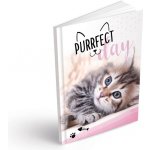 MFP Záznamová kniha A5 linka 100 listů – Zboží Dáma