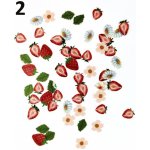 Papírové ozdoby do pryskyřice ovoce a květy Varianta: 2 – Hledejceny.cz