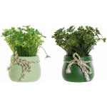 Dekorace "ČTYŘLÍSTEK" v květináči 9x9x15 – Hledejceny.cz