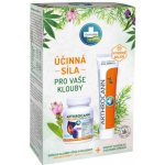 Annabis Arthrocann Collagen Omega 3-6 Forte 60 tablet + Arthrocann gel z konopí s koloidním stříbrem na klouby svaly šlachy 75 ml – Sleviste.cz