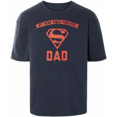 Pánské triko Superman – Zbozi.Blesk.cz