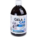 Gelacan Chondro Forte Biosol 500 ml – Hledejceny.cz