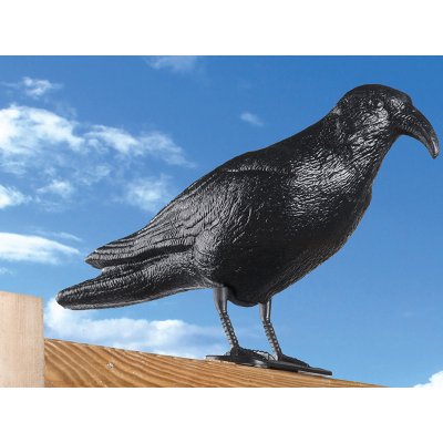 Hutermann Havran plastová 3D maketa na plašení ptáků – Zboží Mobilmania