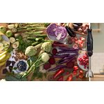 Bosch ErgoMaster Series 4 MSM4B623 – Zbozi.Blesk.cz