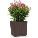 Lechuza Cube Cottage 30x30x30 cm Mokka – Hledejceny.cz