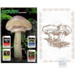 Mičánek Kvarteto: Houby – Hledejceny.cz