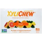 Xylichew Ovocné 12 x 15,6 g – Zboží Dáma