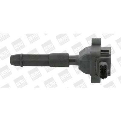 Zapalovací cívka BorgWarner (BERU) ZS041 – Hledejceny.cz