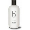 Přípravek proti šedivění vlasů Broaer B2 Silver Color Shampoo 250 ml