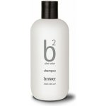 Broaer B2 Silver Color Shampoo 250 ml – Zboží Dáma