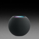 Apple HomePod mini Midnight – Zboží Mobilmania