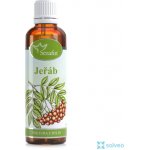 Serafin tinktura z bylin Jeřáb ptačí 50 ml – Hledejceny.cz