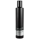 Stylingový přípravek Tigi Catwalk Session Series lak na vlasy silné zpevnění (Finishing Hairspray) 300 ml