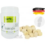 Barfit na klouby 100 Tablet – Hledejceny.cz