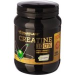 Smartlabs Creatine Creapure 500 g – Hledejceny.cz