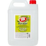 Ava bílý ocet na úklid 10 % 5 l – Hledejceny.cz