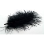 Marabu Peří 10 ks černé velké 876424-10 – Hledejceny.cz