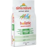 Almo Nature Holistic DOG Medium Adult Lamb and Rice 12 kg – Hledejceny.cz