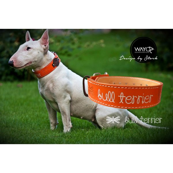 Wayo Kožený obojek Bull Terrier od 999 Kč - Heureka.cz