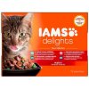 Kapsička pro kočky Iams Cat Delights Adult All Breeds Ocean Fish jelly 12 x 85 g