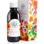 Bilegria INUMA bylinný sirup na podporu imunity s echinaceou a rakytníkem 200 ml – Hledejceny.cz