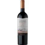 Castillo de Molina Carmenére Gran Reserva červené suché 14,3% 0,75 l (holá láhev) – Hledejceny.cz