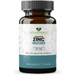 Vitaherbals Vitaherbals Chelated Zinc Complex, 100 rostlinných kapslí – Hledejceny.cz