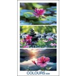 Colours nástěnný 33 x 60 cm 2026 – Zbozi.Blesk.cz