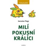 Psaní velkých písmen v češtině - Markéta Pravdová – Hledejceny.cz