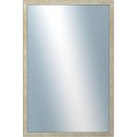 DANTIK GRAFIC 40x60 cm stříbrná 2673 – Hledejceny.cz