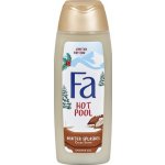 Fa Winter Splashes sprchový gel 250 ml – Hledejceny.cz