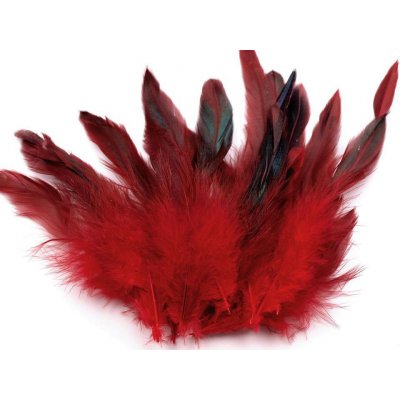 Prima-obchod Slepičí peří délka 6-20 cm, barva 3 červená tmavá