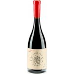 Wine people Aladasturi-Asuretuli Saperavi 2022 suché 14,3% 0,75 l (holá láhev) – Hledejceny.cz