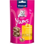 Vitakraft Cat Yums Sýr 40 g – Hledejceny.cz