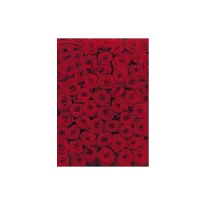 KOMAR 770-4 Roses Fototapeta Komar Růže velikost 194x 270cm – Zboží Mobilmania