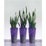 Emos D1AF01 Světelný řetěz Standard LED spojovací vánoční řetěz 10 m venkovní i vnitřní fialová – Zboží Dáma