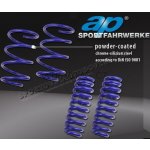 ap Sportfahrwerke sportovní snížené pružiny Renault Clio – Hledejceny.cz