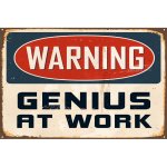Ceduľa Warning - Genius At Work – Zboží Dáma