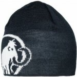 Mammut Tweak Beanie 1191-01352 marine-white Modrá čepice – Hledejceny.cz