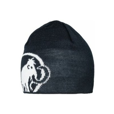 Mammut Tweak Beanie 1191-01352 marine-white Modrá čepice – Hledejceny.cz