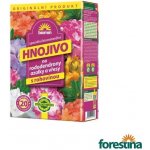 Forestina BIOMIN na rododendrony, azalky a vřesy 1 kg – Hledejceny.cz