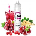Adams vape Grape Mint Lemonade Shake & Vape 10 ml – Zboží Mobilmania