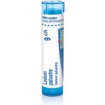 LEDUM PALUSTRE POR 9CH GRA 1X4G – Hledejceny.cz