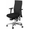 Kancelářská židle Bioswing 660 iQ S